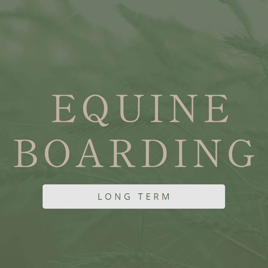 Equine Boarding Long Term