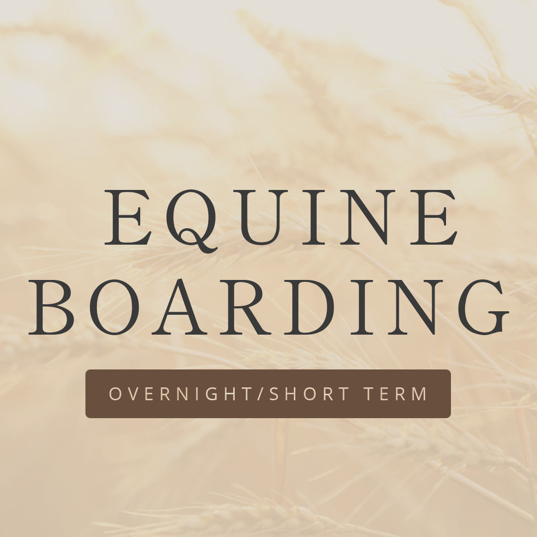 Equine Boarding Short Term