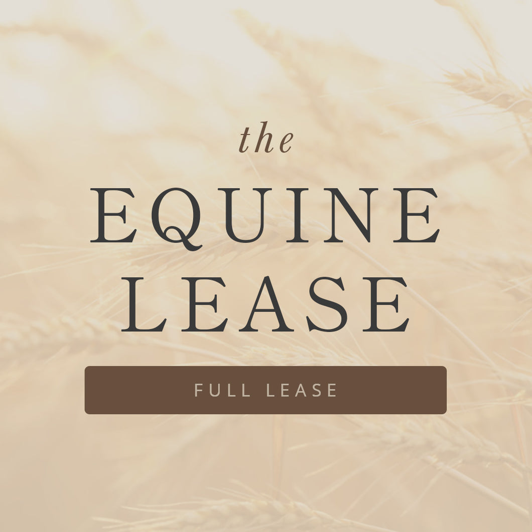 Equine Lease Full