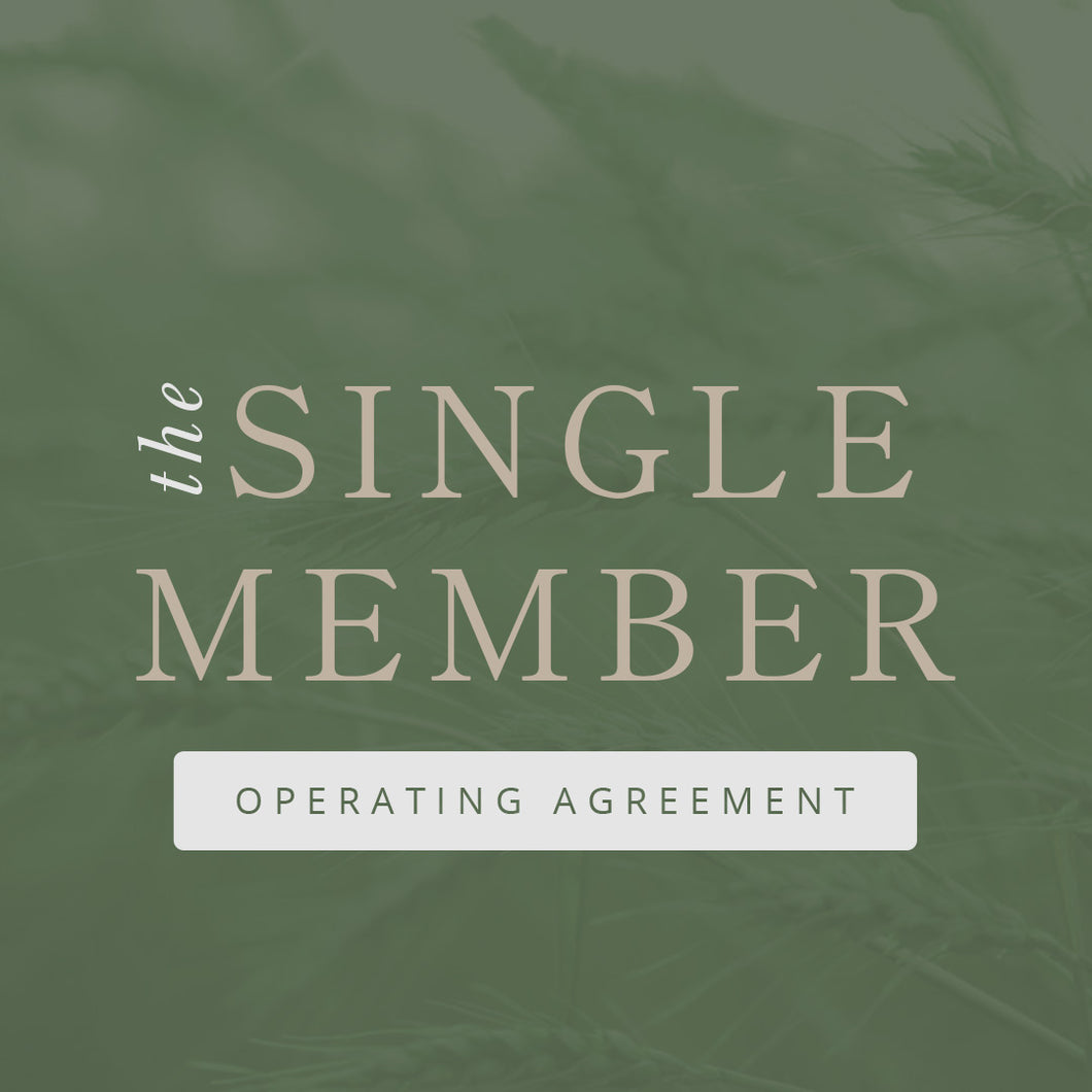 Single Member Operating Agreement